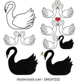 beautiful swans, black, white, vector illustration