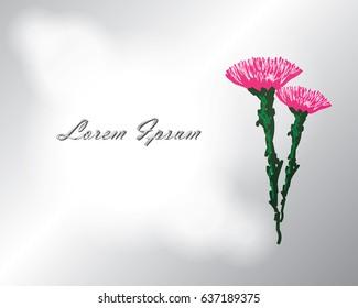 beautiful sweet vintage hand drawing frame of flowers