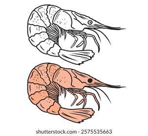 Beautiful tasty coloring book design with black and white version of shrimp seafood. Hand drawn vector sketch illustration in doodle engraved vintage line art style. Tasty delicious ready to eat