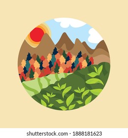 Beautiful Tea Garden Flat Illustration
