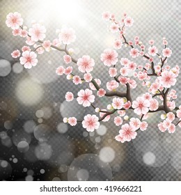 Beautiful template with blossoming dark and light pink sakura flowers. EPS 10 vector file included