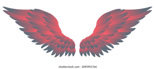 Beautiful tender grey pink gradient wings, color vector illustration