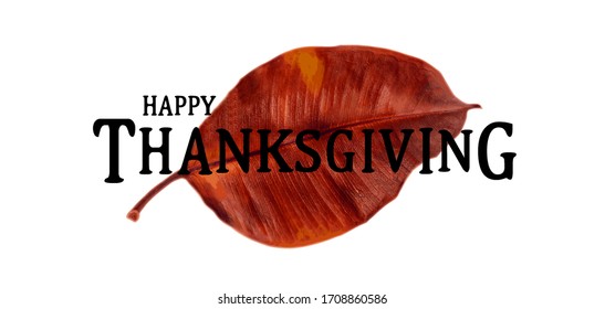 Beautiful Thanksgiving greeting card with watercolor leaf and inscription. Vector illustration
