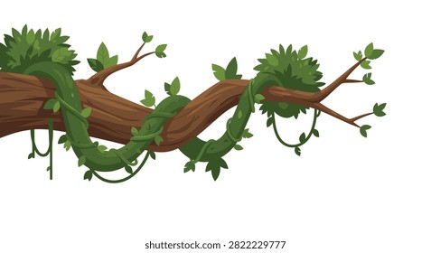 Beautiful thick tree branch wrapped in lush green jungle vine with delicate leaves isolated on clean white background.