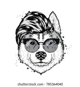 A beautiful thoroughbred dog with a stylish hipster hairdo. Vector illustration for a postcard or a poster, print for clothes. Husky in clothes and accessories.