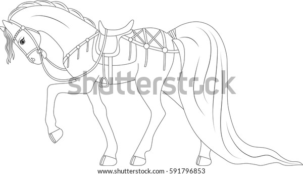 beautiful thoroughbred horse harness coloring page stock