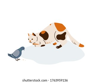 Beautiful three color cat in hunting pose watches to pigeon eating grain. Vector illustration in simple cartoon flat style. Isolated on white background.