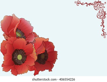 Beautiful three red poppies.Vector Illustration