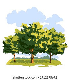 Beautiful three trees with green leaves, grass and blue sky, nature, oak, forest, landscape, isolated, vector illustration on white background