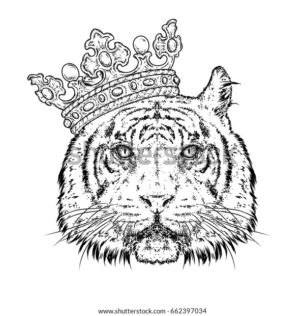 White Tiger Poster Wild Beautiful Animal Artwork Picture Blue Black Photo Print