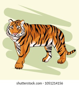 Beautiful tiger drawing