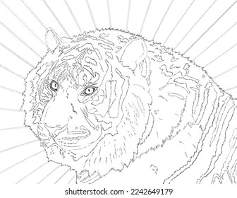 The beautiful tiger has arrived. Line art.