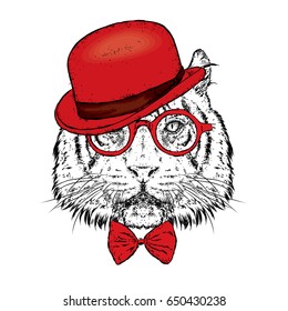 A beautiful tiger with a hat and glasses. Vector illustration. Wild animal, predator.