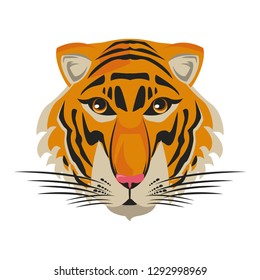 Beautiful tiger head