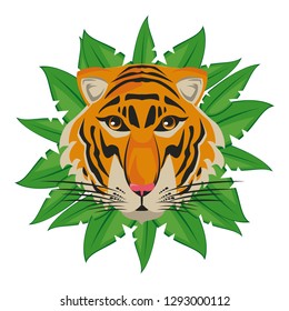 Beautiful tiger head
