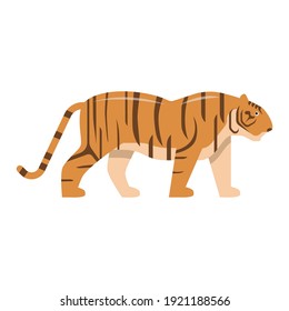 El tigre hermoso aislado en el fondo blanco Tiger es uno de los animales más hermosos del mundo vector 
 