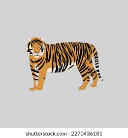 A beautiful tiger vector artwork