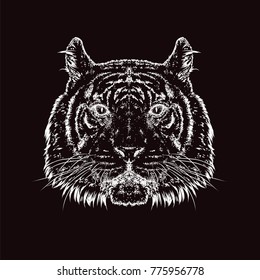 A beautiful tiger. Vector illustration. Wild animal, predator.