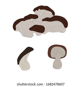 Beautiful tinder fungus mushroom , great design for any purposes. Vegan and vegetarian food. Organic nutrition. Vegan, vegetarian diet. Autumn background. Vector doodle illustration. Isolated white