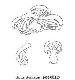 Beautiful tinder fungus mushroom outline , great design for any purposes. Vegan and vegetarian food. Organic nutrition. Farm market product. Great for menu, label, icon