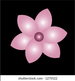 beautiful tones flower on black background vector