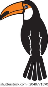 Beautiful Toucan bird color vector illustration