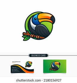 Beautiful Toucan Bird Logo Design Vector Template