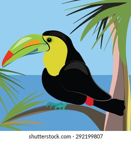 Beautiful toucan bird sitting on a palm tree vector illustration