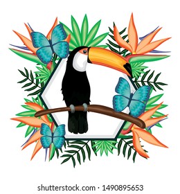 beautiful toucan and butterflies with floral decoration