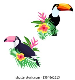 Beautiful toucan cartoon vector illustration