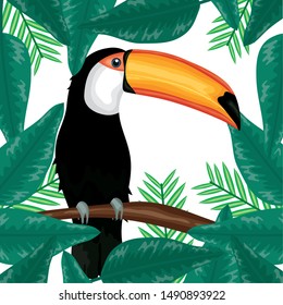 beautiful toucan with exotic and tropical leafs decoration