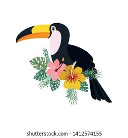 beautiful toucan on white background
