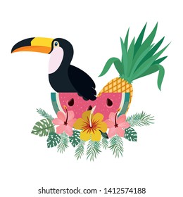 beautiful toucan on white background