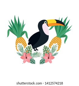 beautiful toucan on white background