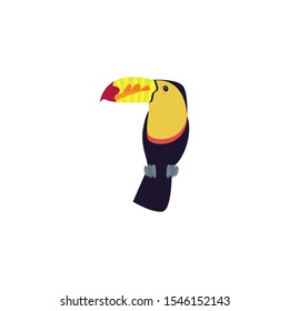 beautiful toucan on white background vector illustration design