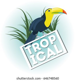 beautiful toucan over tropical palms