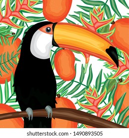beautiful toucan with tropical fruits and leafs decoration
