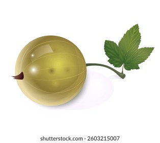 Beautiful translucent white currant on a white background with a leaf
