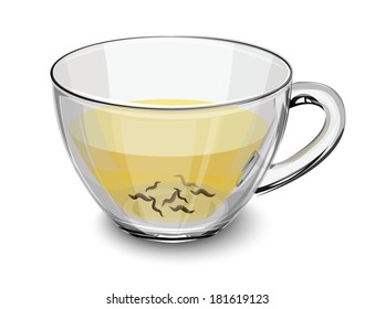 beautiful transparent cup of tea