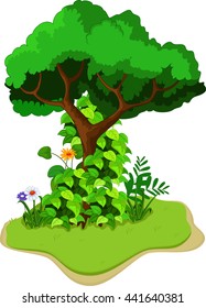 beautiful tree background