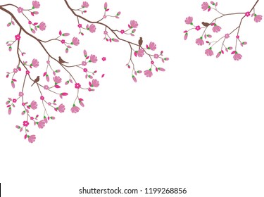 Beautiful tree branch with birds silhouette background for wallpaper sticker