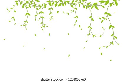 Beautiful tree branch with birds silhouette background for wallpaper sticker