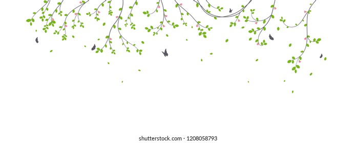 Beautiful tree branch with birds silhouette background for wallpaper sticker