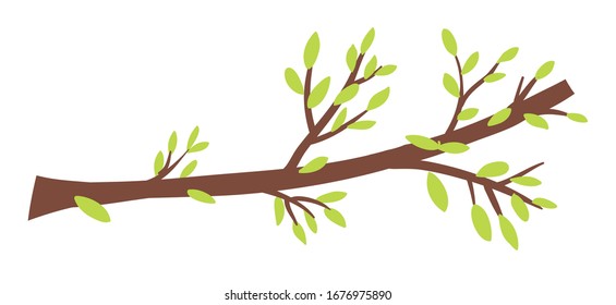 Beautiful tree branch with leaves. Vector illustration isolated on white background.