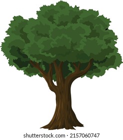 Hermosas plantillas de vectores de diseño vertical de árbol