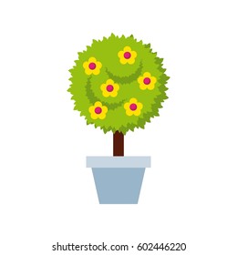 beautiful tree with flowers in a pot over white background. colorful design. vector illustration