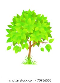 Beautiful tree with green leaves. Vector illustration