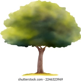 Beautiful Tree Hand Drawn Watercolor Painting