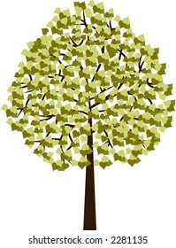 beautiful tree illustration