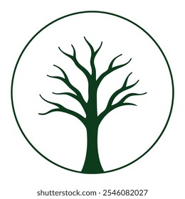 Beautiful tree illustrations for graphic projects.